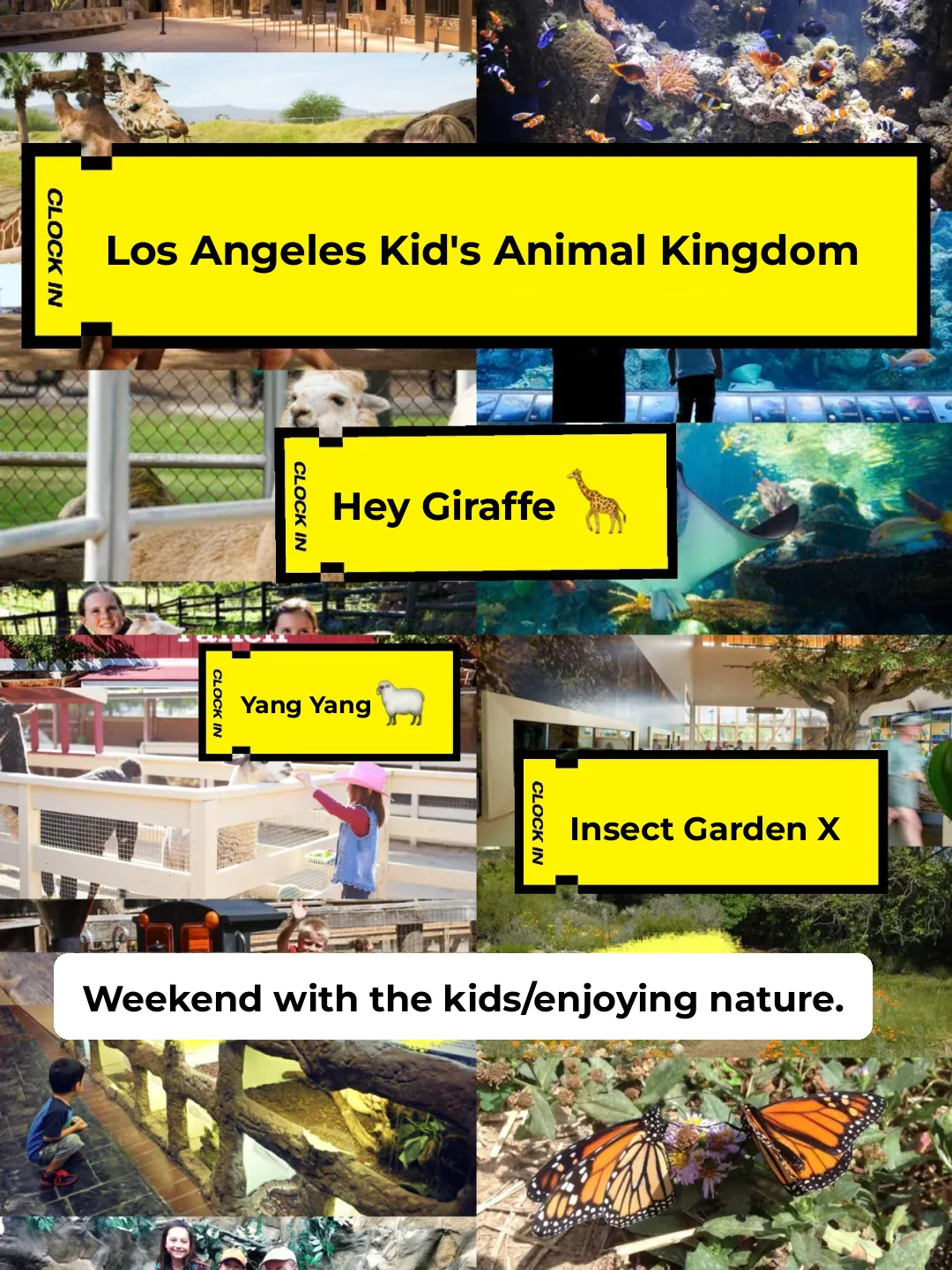 LA Family Fun 📍 Taking the Kids to Feed Giraffes 🦒 Top Hidden Gem Zoos