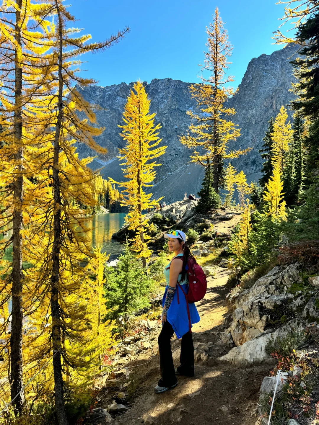 Seattle's Golden Larch Trail: Unbeatable Value for Hiking Enthusiasts