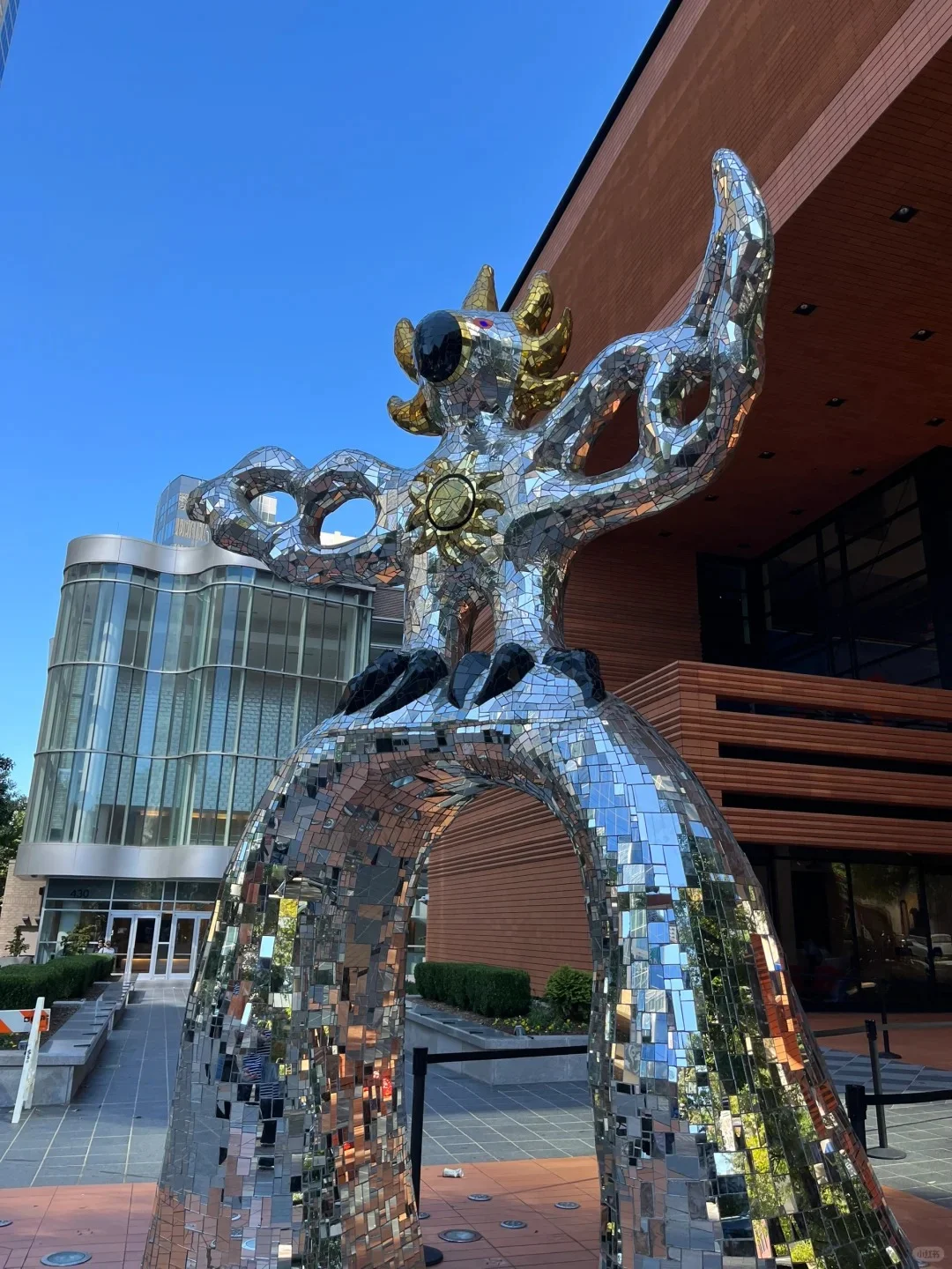 "Thought the U.S. was boring until I visited Charlotte, North Carolina 😍"