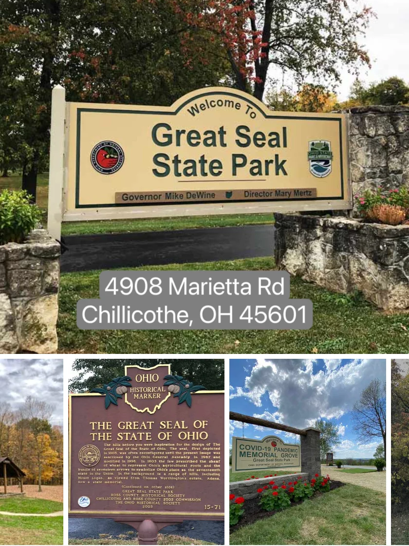 Where to Go in Columbus: A Guide to Mushroom Foraging