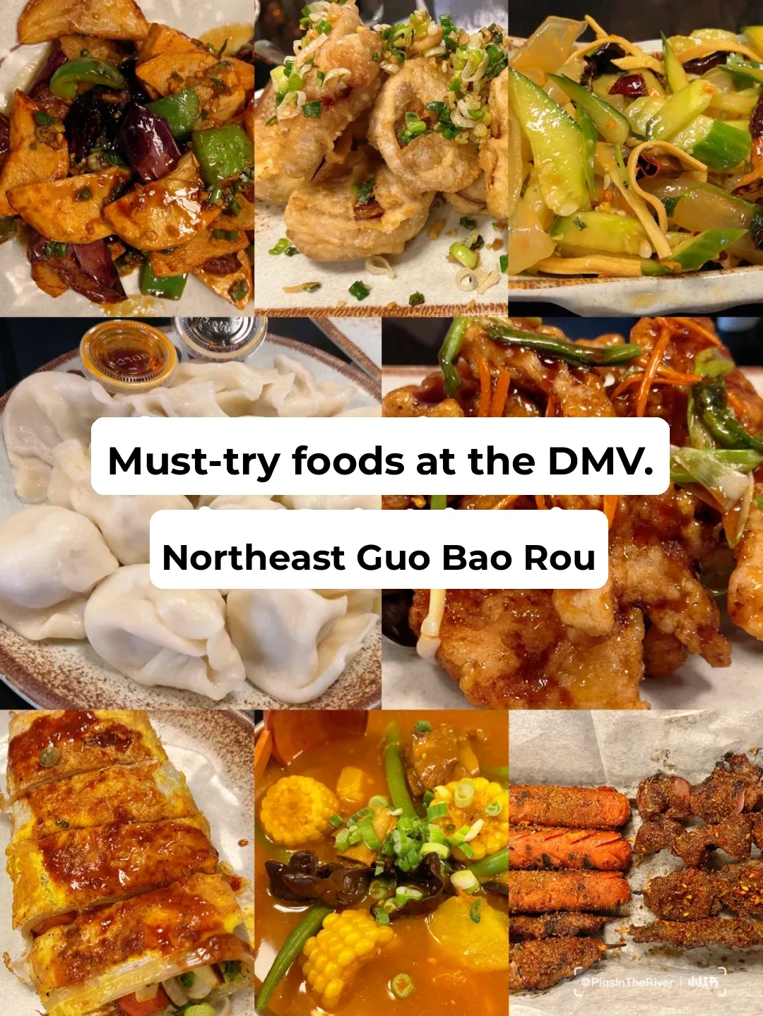 DMV Eats｜I Found the Most Authentic Northeastern Chinese Cuisine‼️