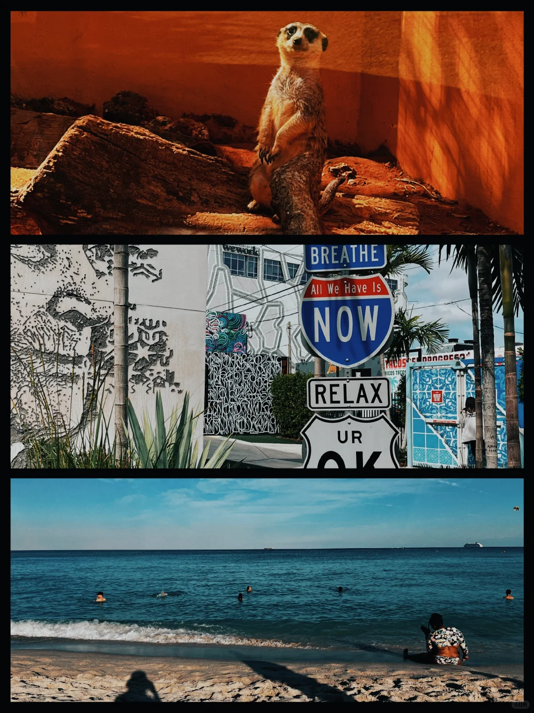 Ultimate Solo Budget Trip to Miami: $400 Inclusive of Flights and Accommodation (Part 1)