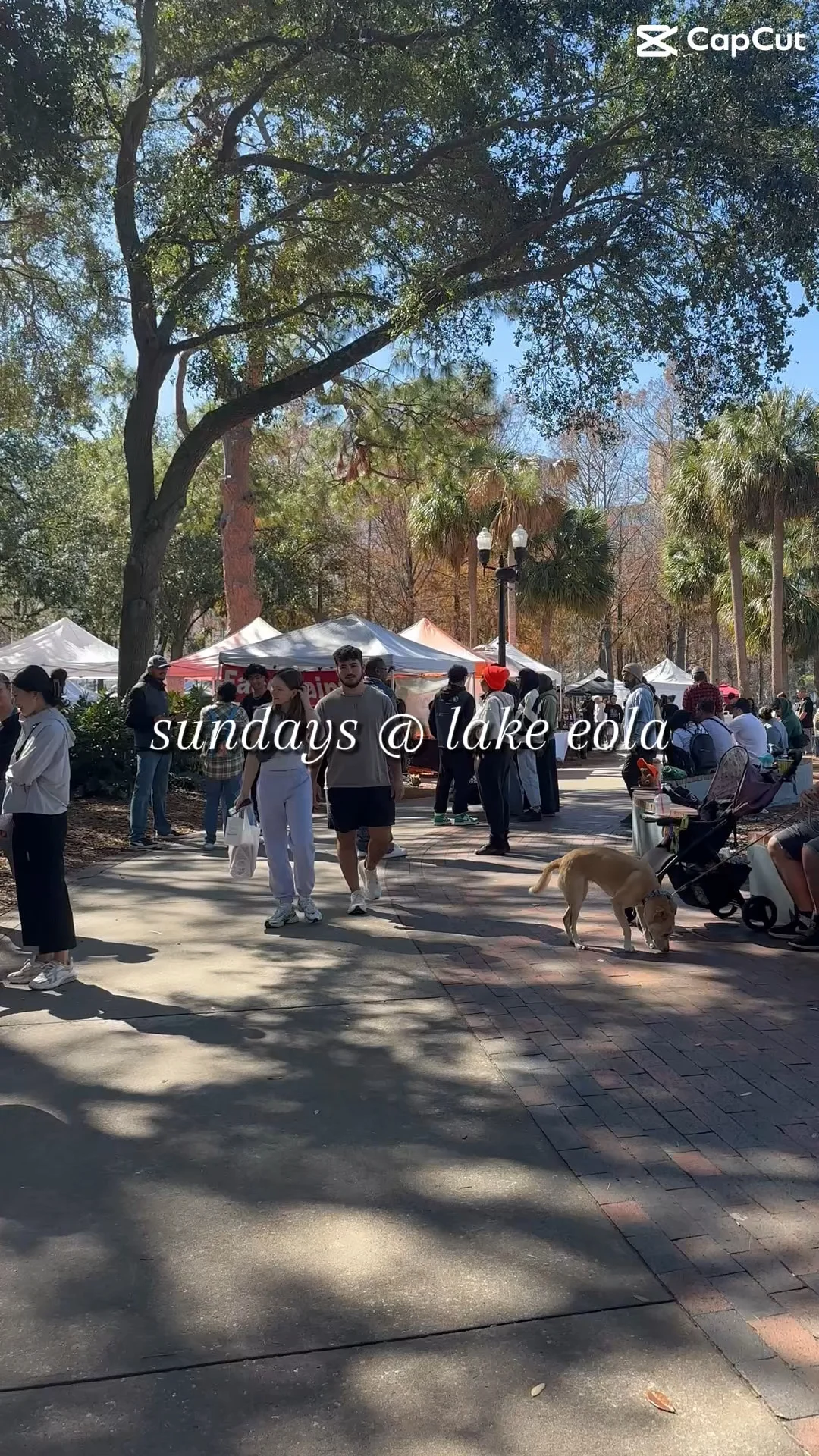 Sunday in Orlando 🌥️