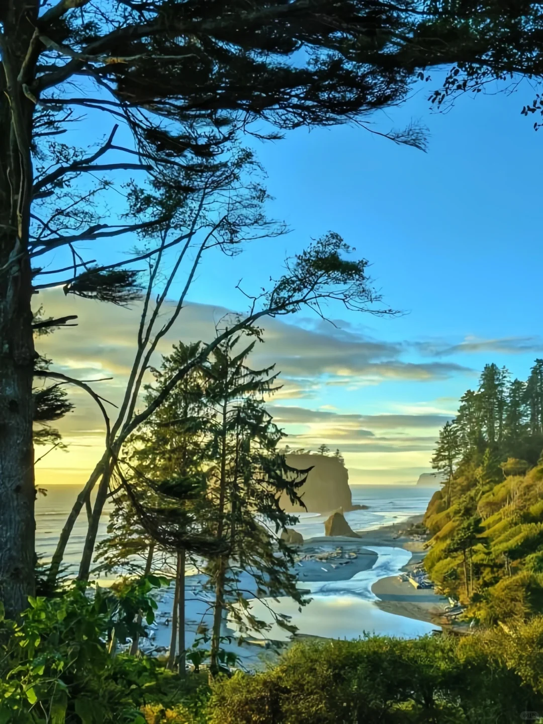 If You Don't Visit These Spots in Seattle, You're Wasting Your Trip 😤