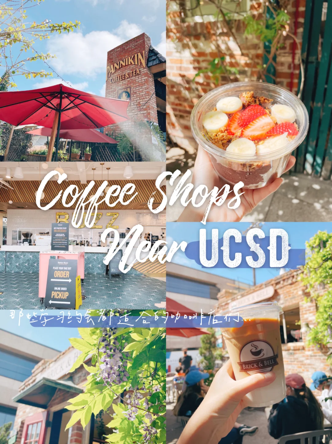 📖UCSD Edition | Best Cafés Near Campus for Studying and Chatting ☕️