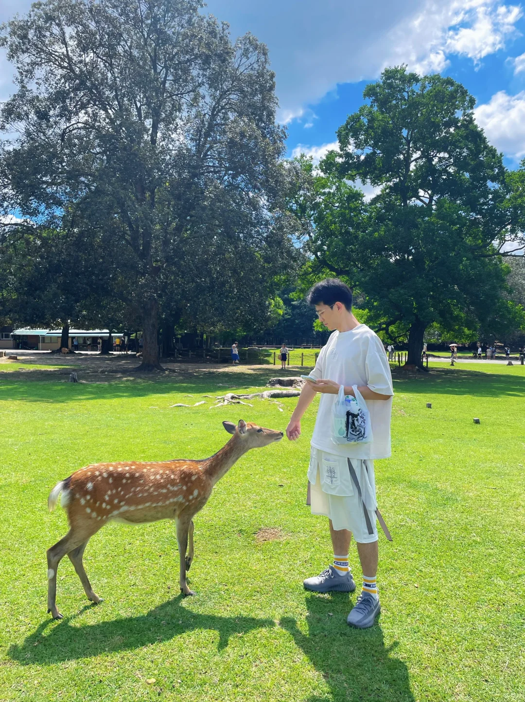 Journey Through Kansai, Japan