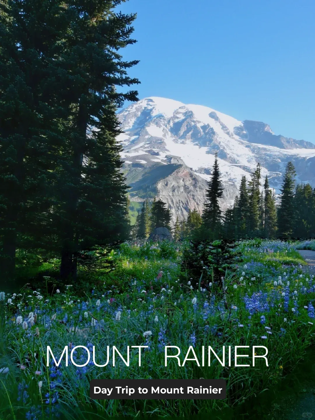 Seattle | Mt. Rainier Day Hike Route!