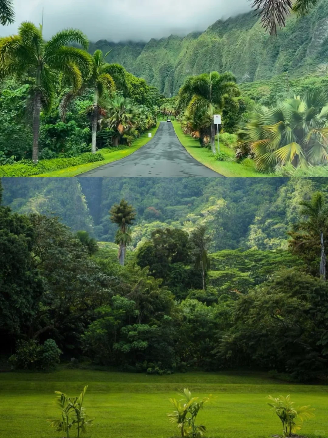 Hawaii Botanical Garden ✔️