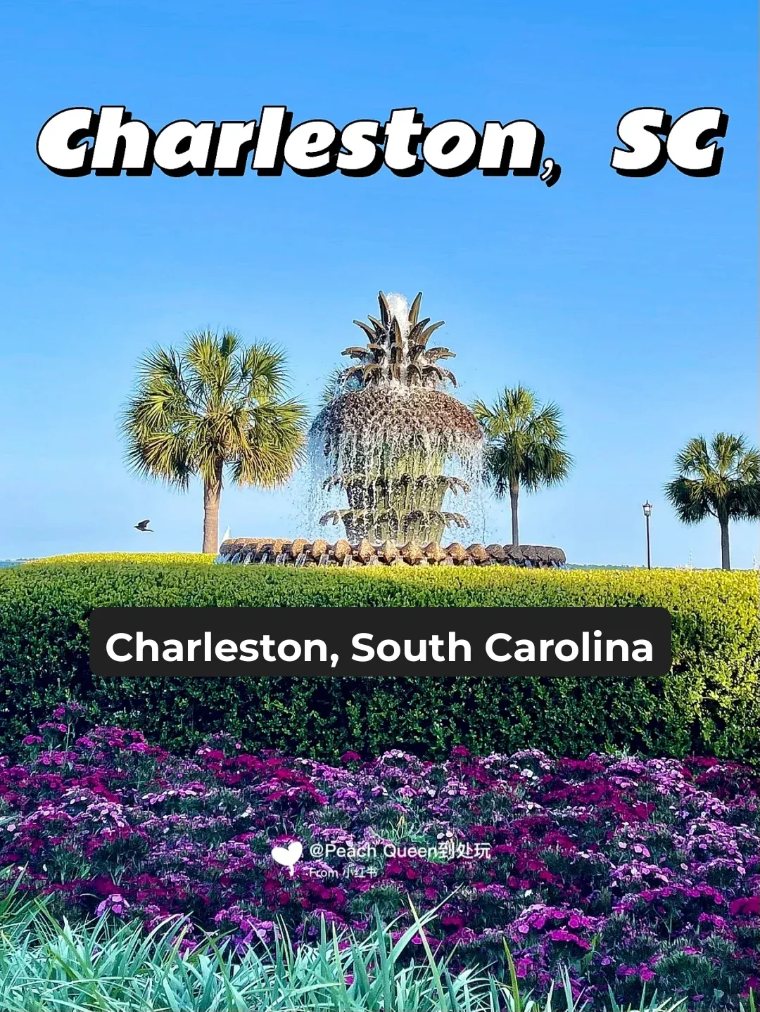 The Most Beautiful City in Many People's Hearts | Charleston, South Carolina Travel Guide