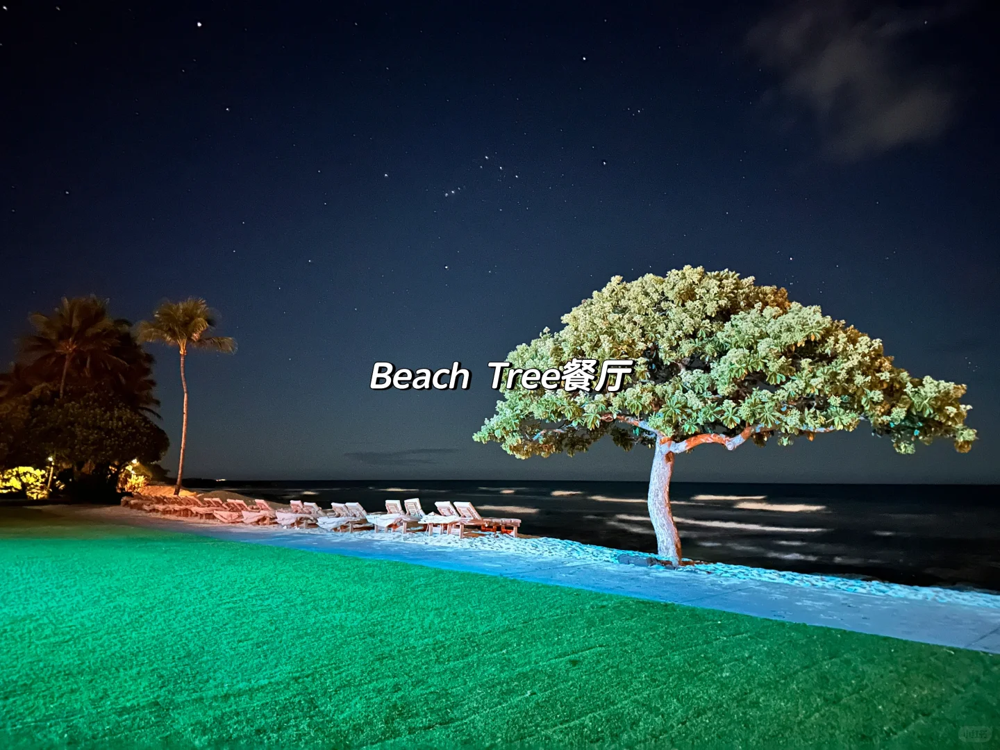 🌺 Beach Tree Italian Restaurant at Four Seasons Resort Hualalai, Hawaii Island
