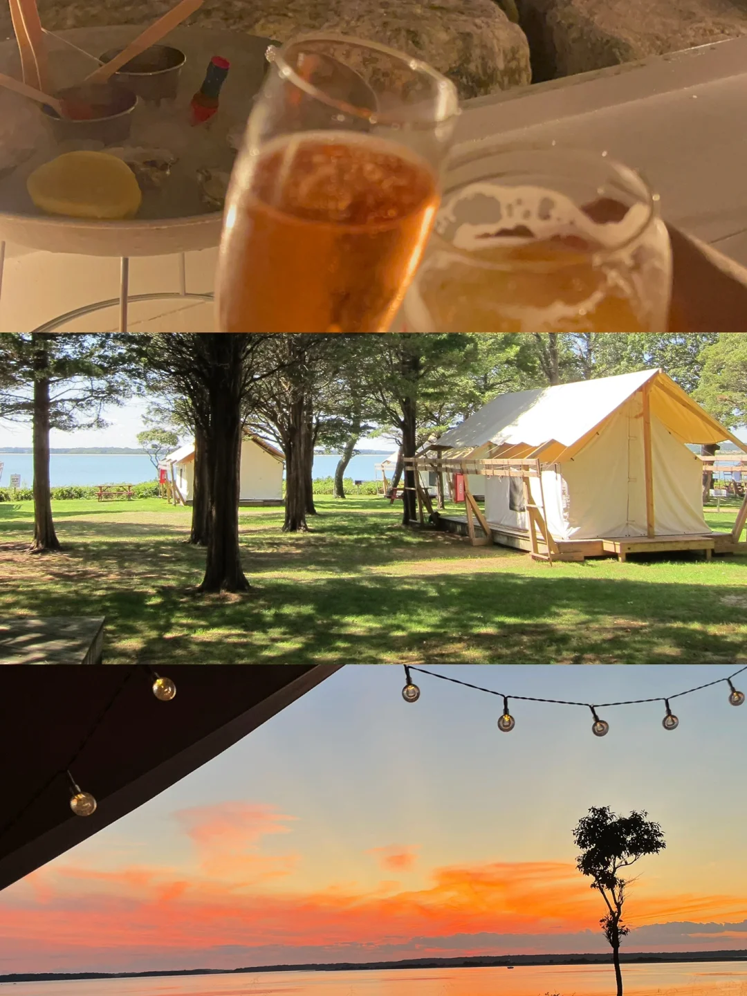 New York's Long Island | Encountering the Orange Sea ⛺️🍊