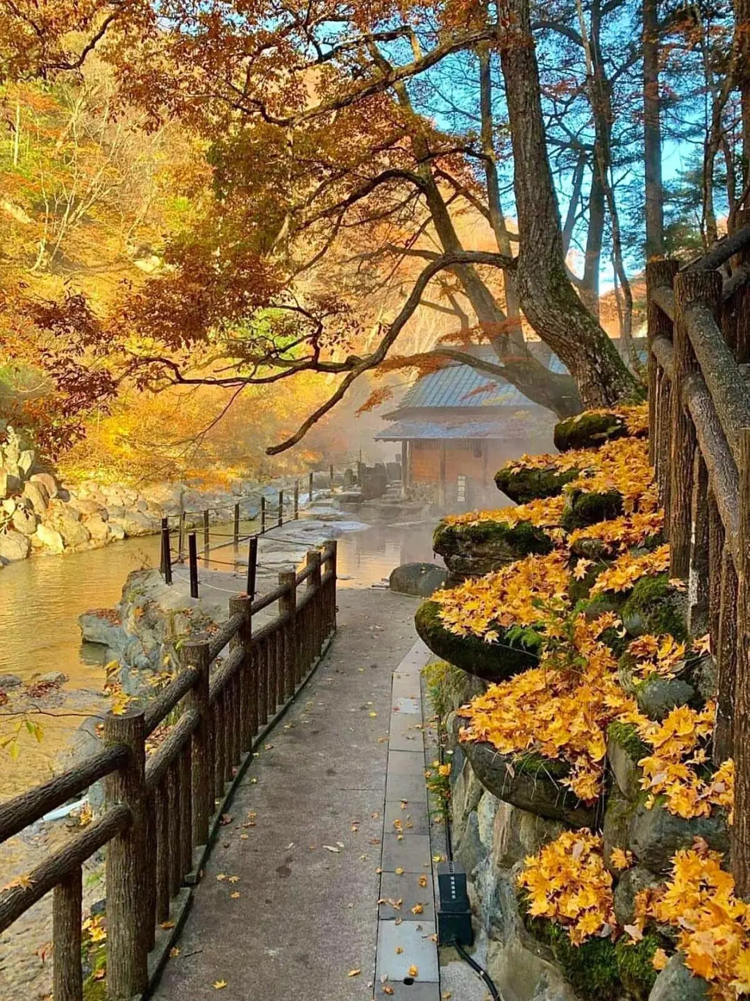Japan ♨️ Hidden Hot Spring Paradise: Step into a Fairytale World This Autumn and Winter!