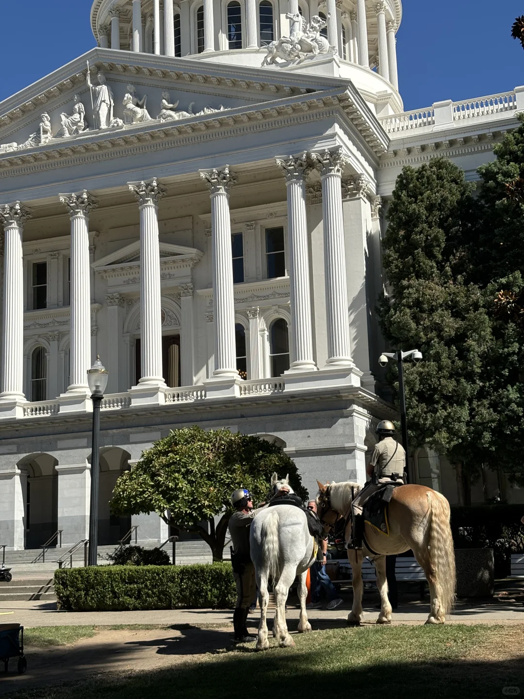 Horseback Police in Sacramento / Lake Tahoe / Reno’s Golden Flower Pho