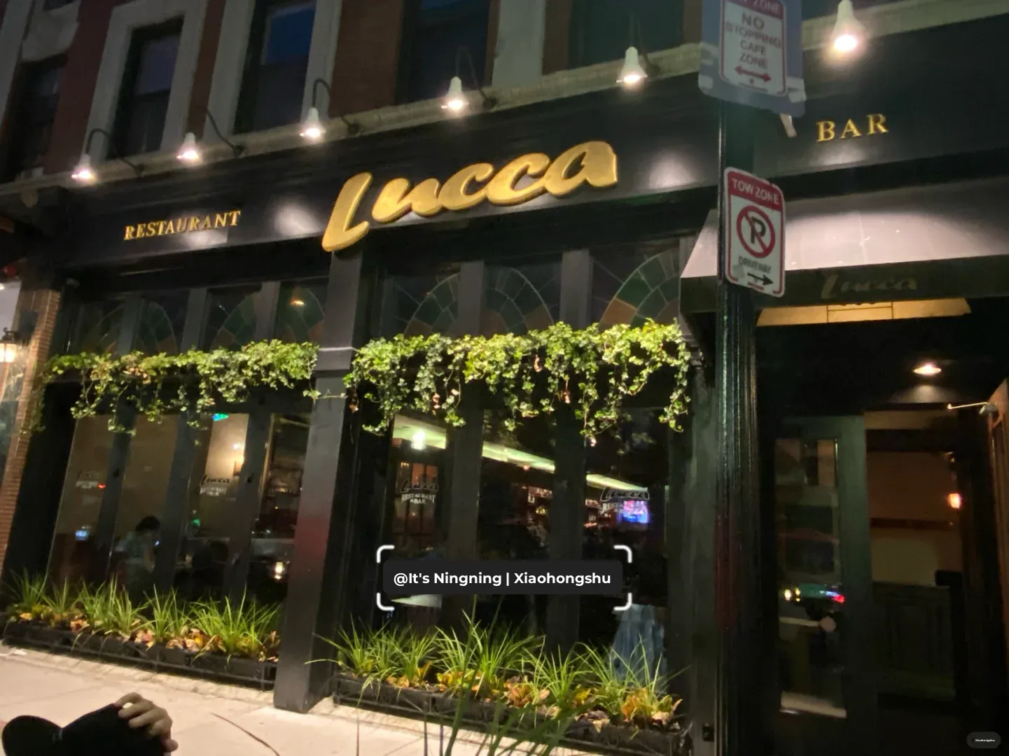 Lucca Restaurant | Wishing Myself a Happy Birthday 🎂