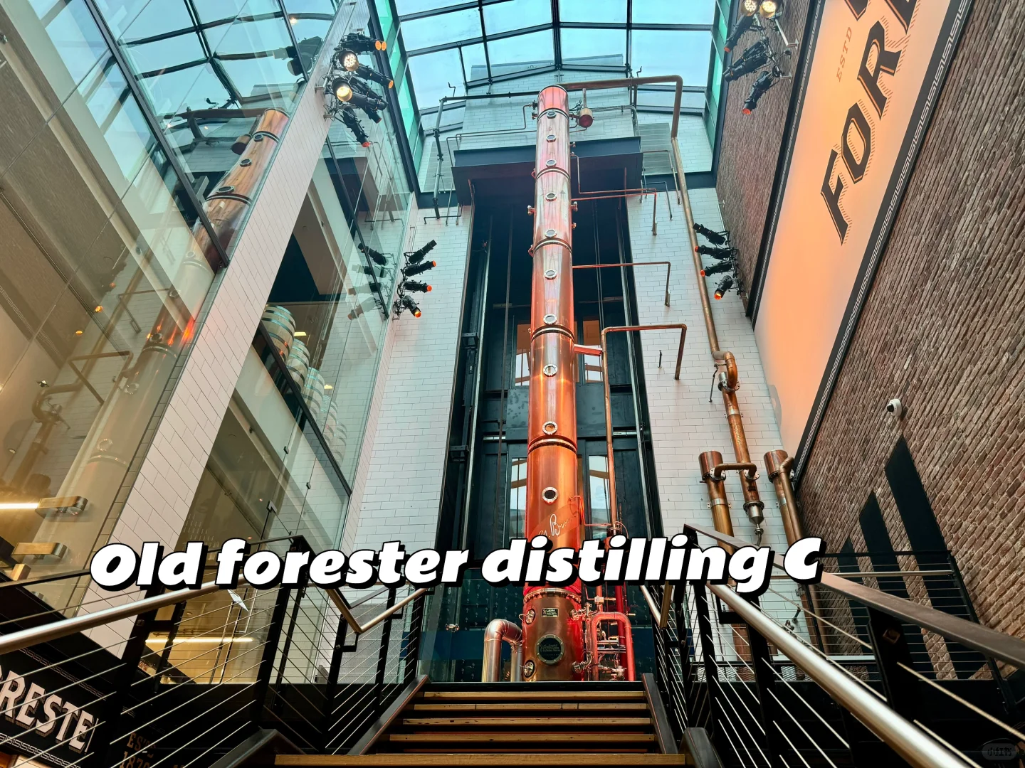 A Quick Trip to Louisville, KY for Work (and a Little Fun!)