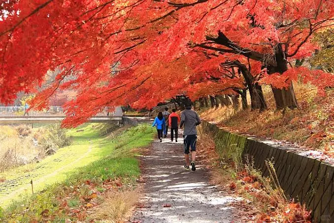 photo-2