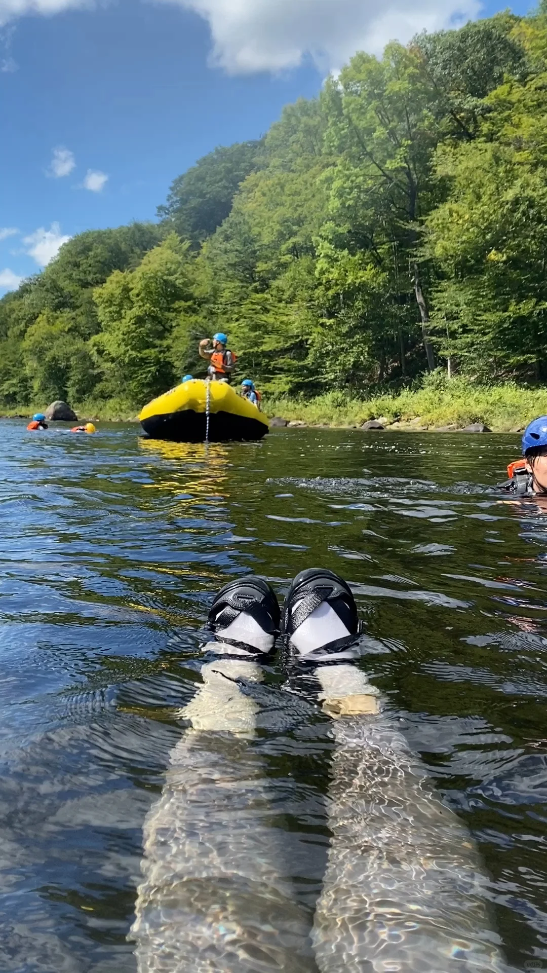 NY Drift | Nature is the Urban Cow's Sanctuary for the Soul