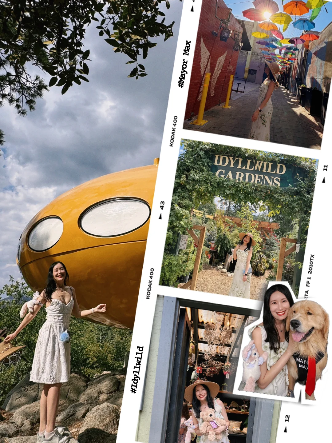 Idyllwild: The Quirky Town with a UFO and Mayor "Little Golden Retriever"