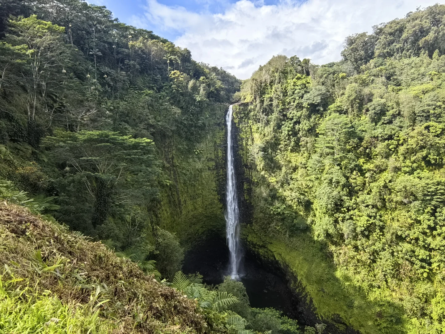 Three Must-See Waterfalls Near Hilo on Hawaii's Big Island