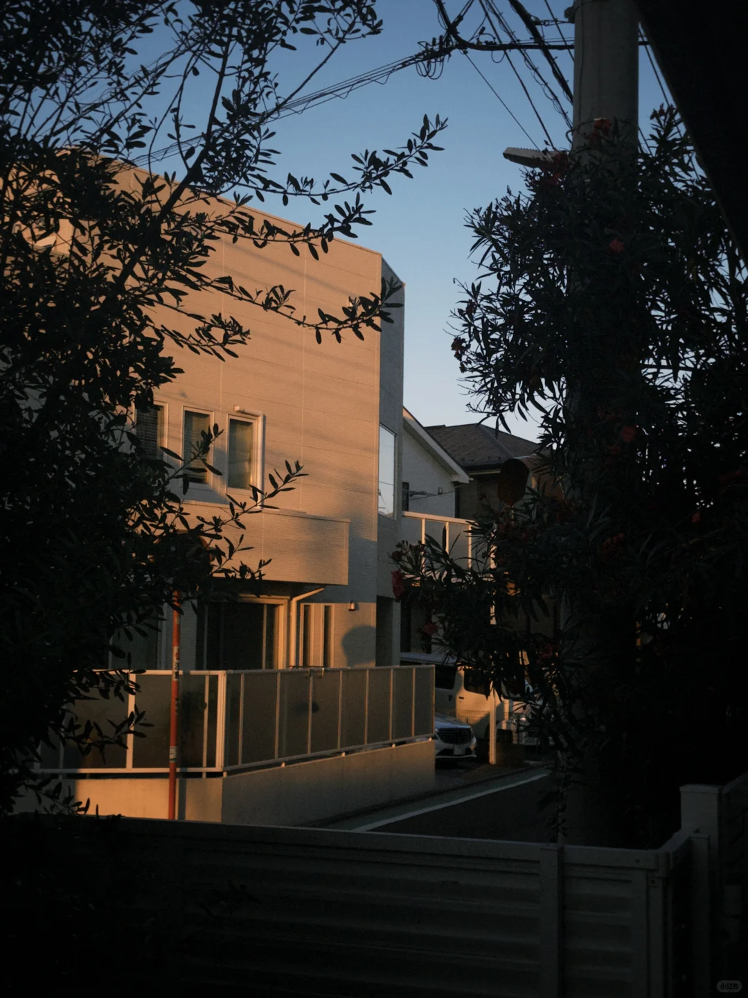 7-Day Tokyo Region Itinerary (Lazy AF Edition)