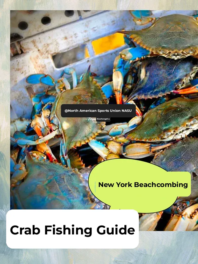 Top NYC Crabbing Spots 🦀️ | Essential Beachcombing Tips ‼️