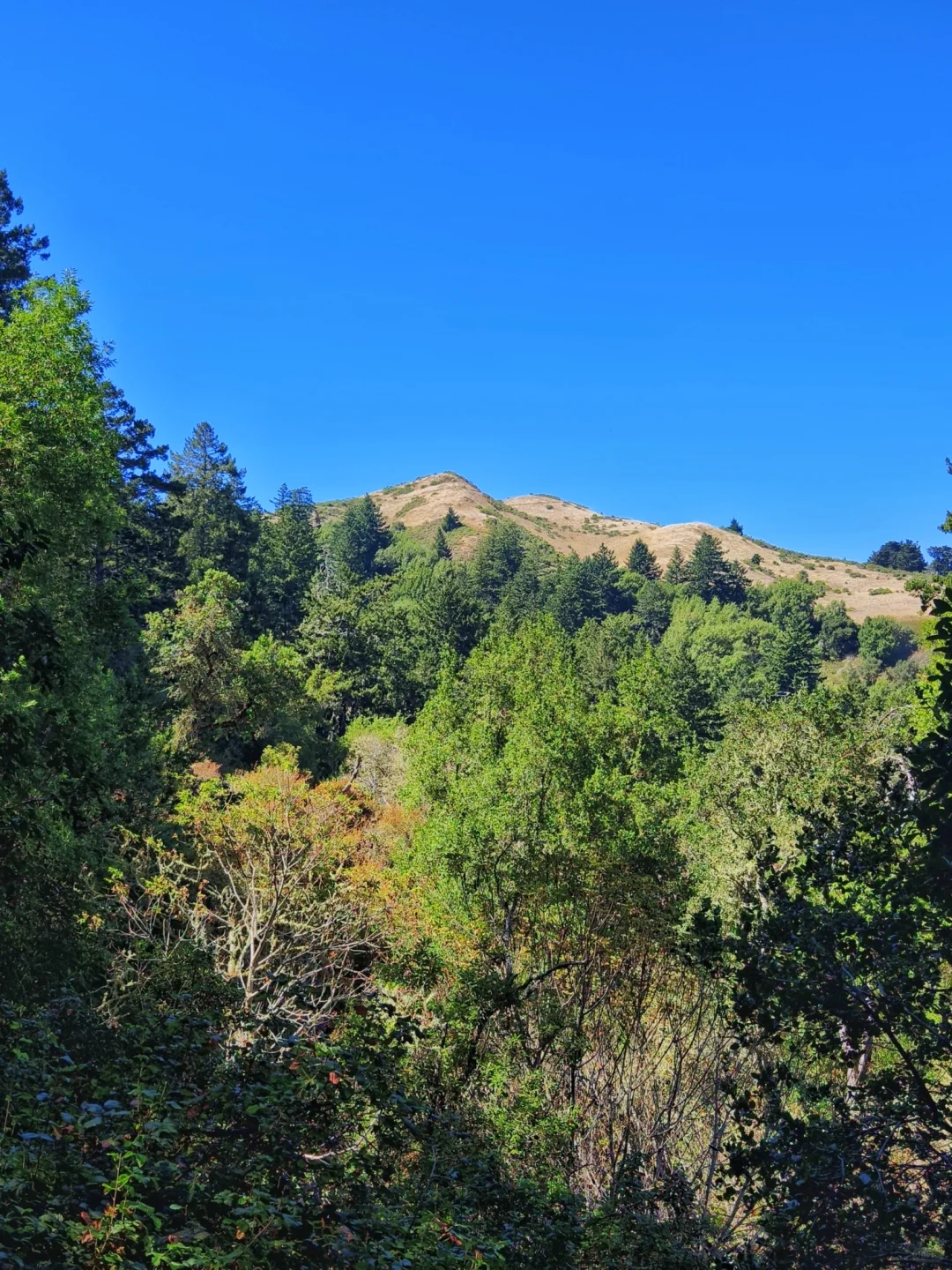 Hiking the Anniversary Trail at San Francisco Bay Area's Three Towers Pants Hill