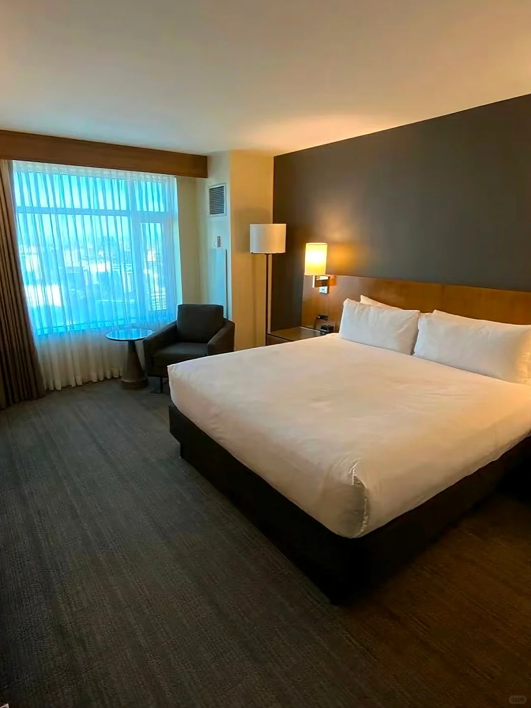 🏨 This Denver Hotel Can't Stay Hidden Any Longer! How Has No One Noticed?