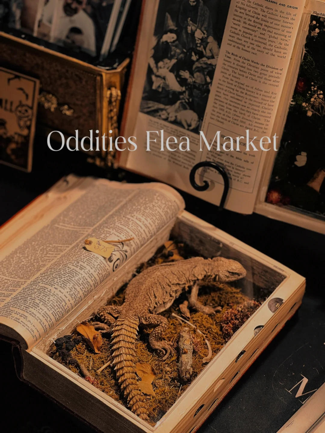 LA's Annual Dark & Eerie Bazaar: A Gothic Enthusiast's Feast