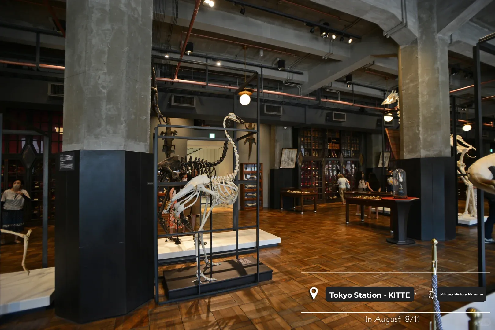 ♣ Visiting the University of Tokyo's History Museum via Tokyo Station ♠