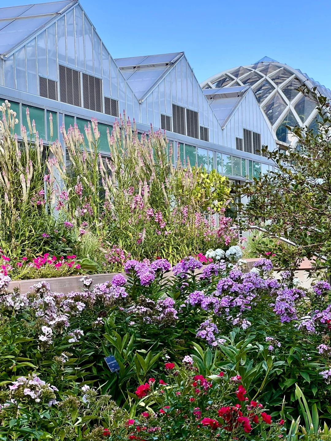 What to Do in Downtown Denver in One Day