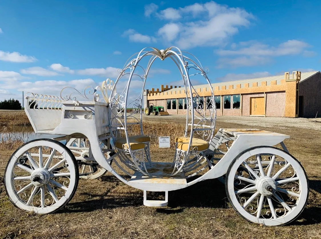 Dallas | 🐑 Must-Visit Spots in the Suburbs (Part 1)