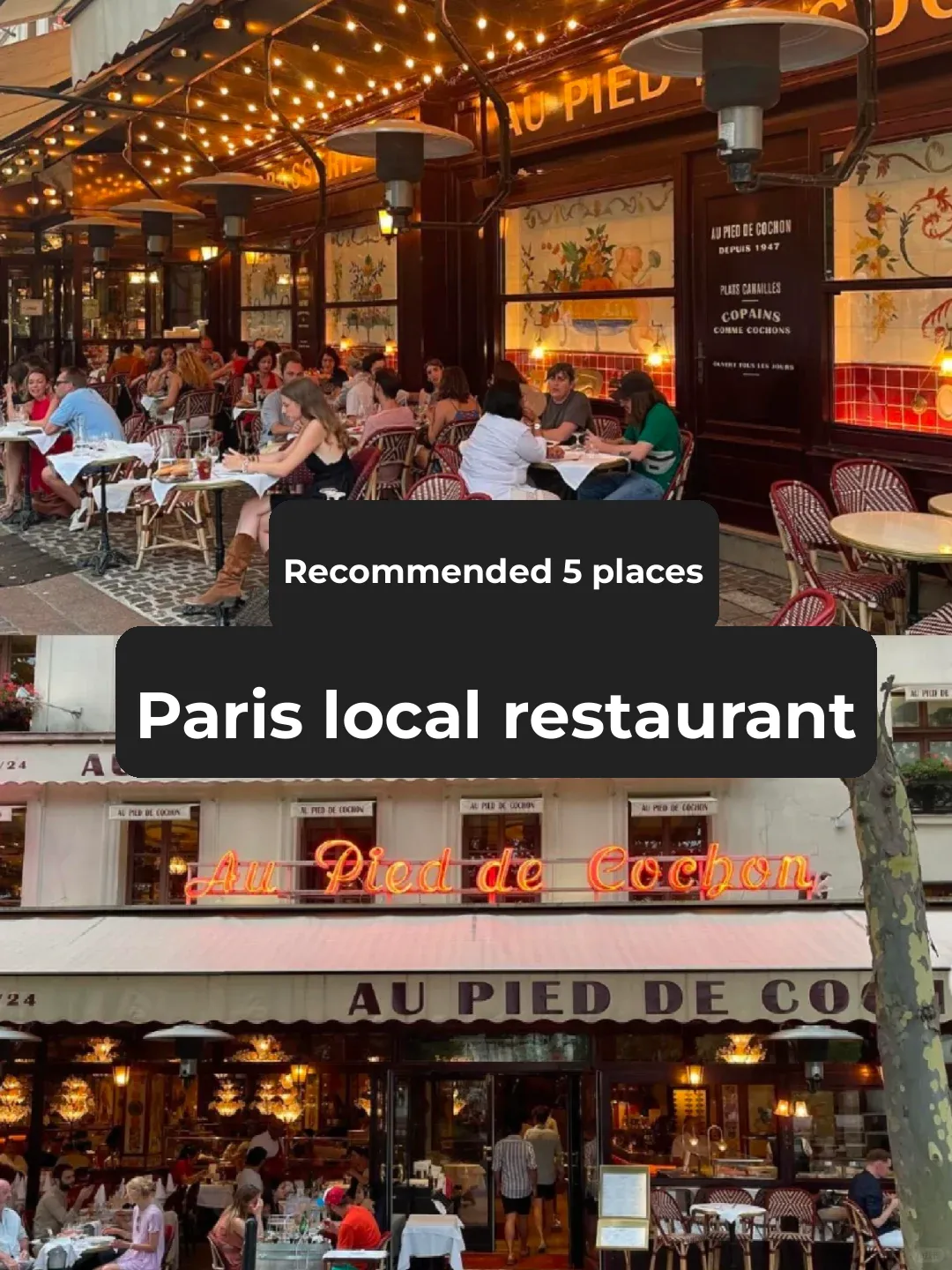 Paris Eats | Top 5 Local Restaurants Recommended by Our Driver Guru