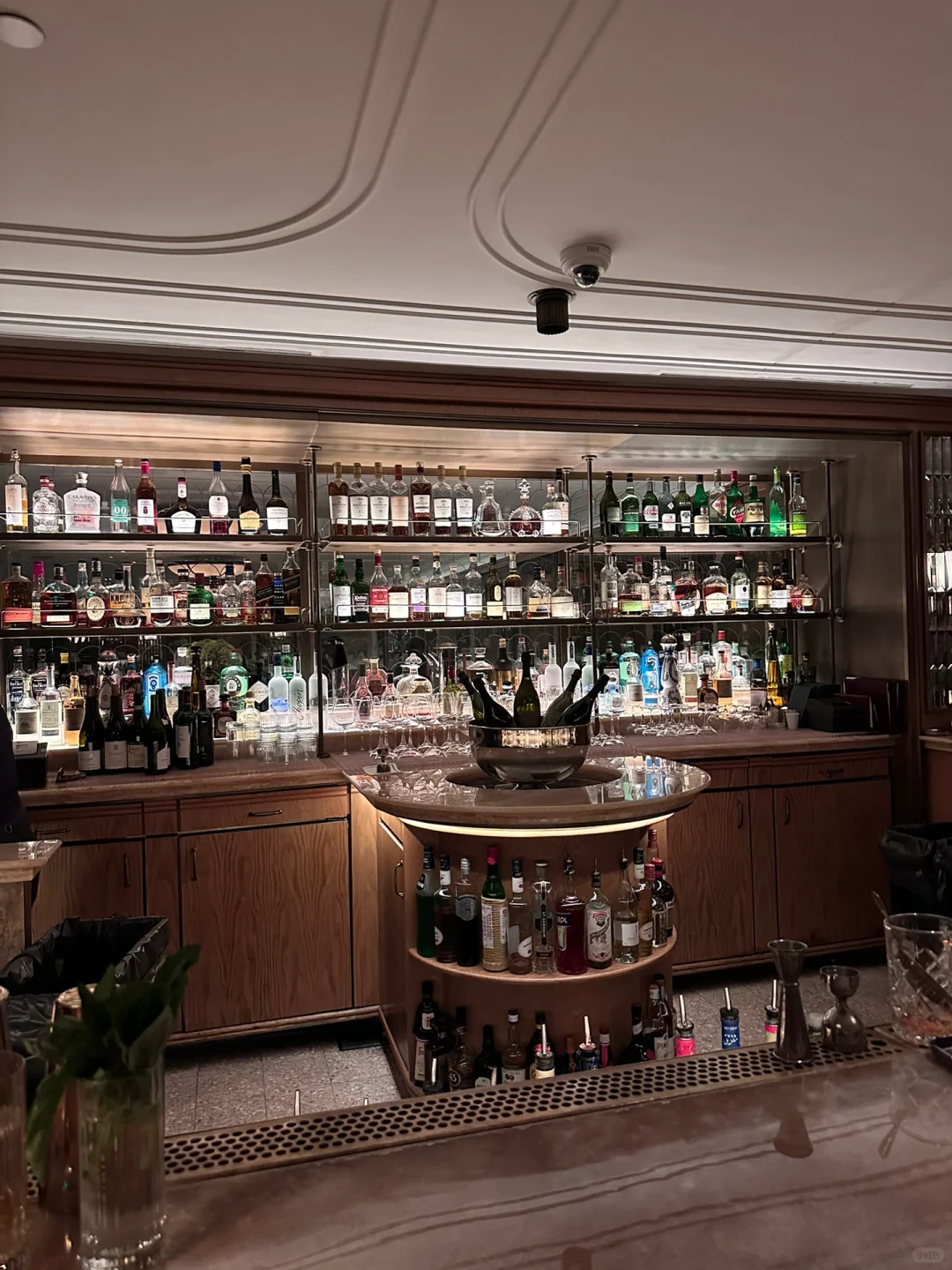 Miami Eats: Top Picks