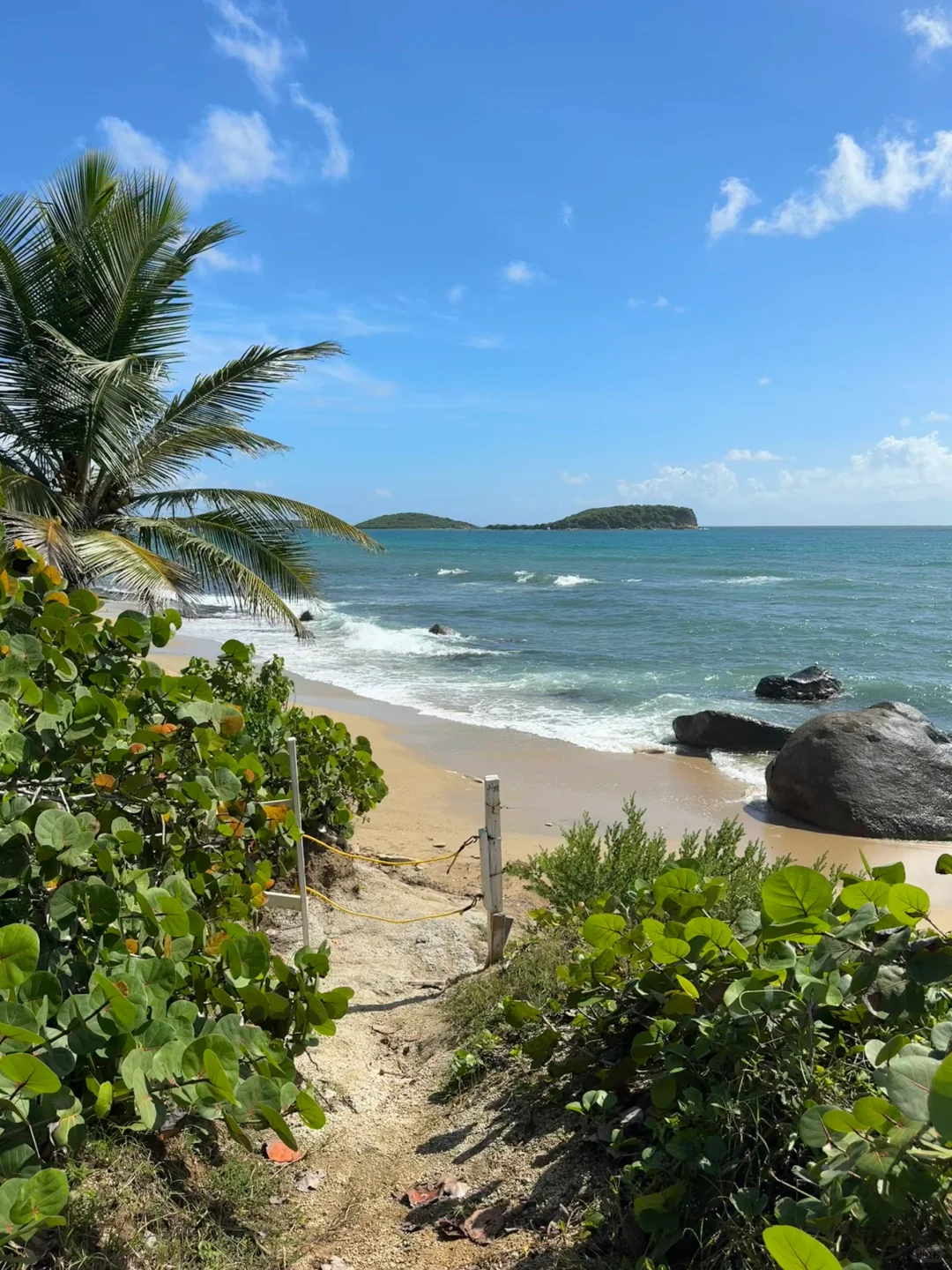 🇵🇷 Let me see who hasn’t driven a golf cart to explore the island yet!