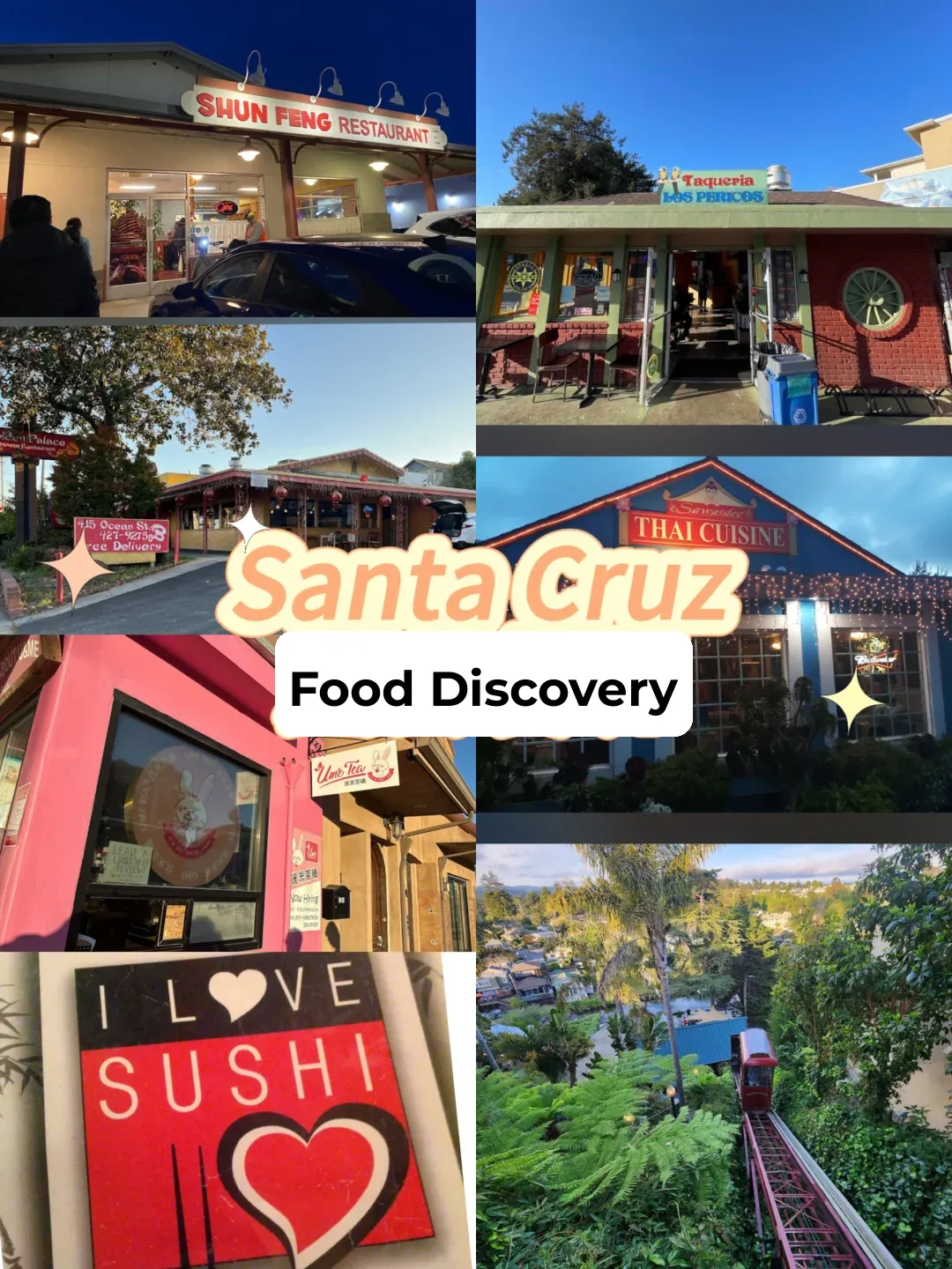 🍽Santa Cruz Food Guide🍻