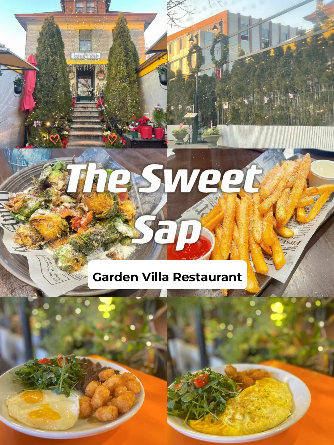 New York Northern Blvd Garden Villa Korean Cuisine 🌟The Sweet Sap