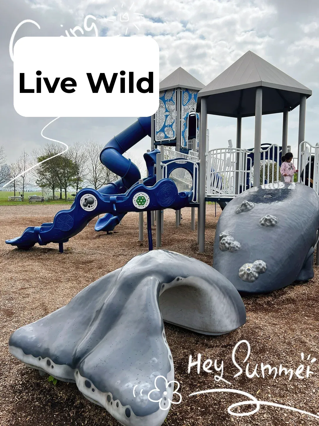 New Jersey LSP: A Vast and Spacious Playground