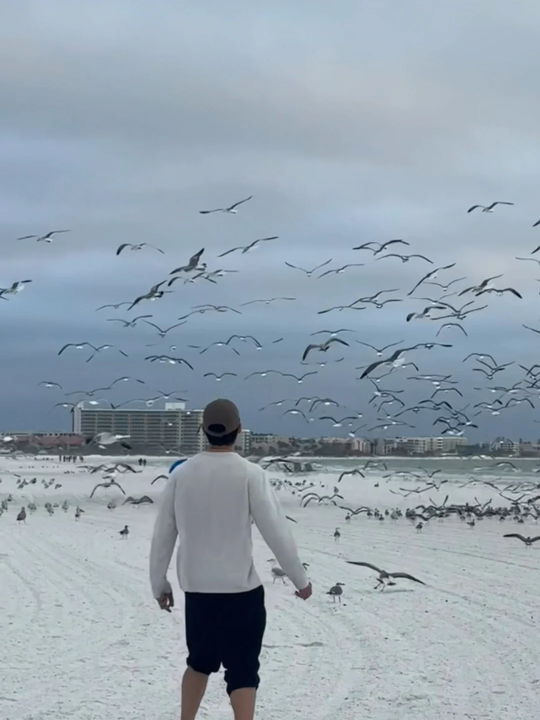 A Record of Nature and Training in Tampa