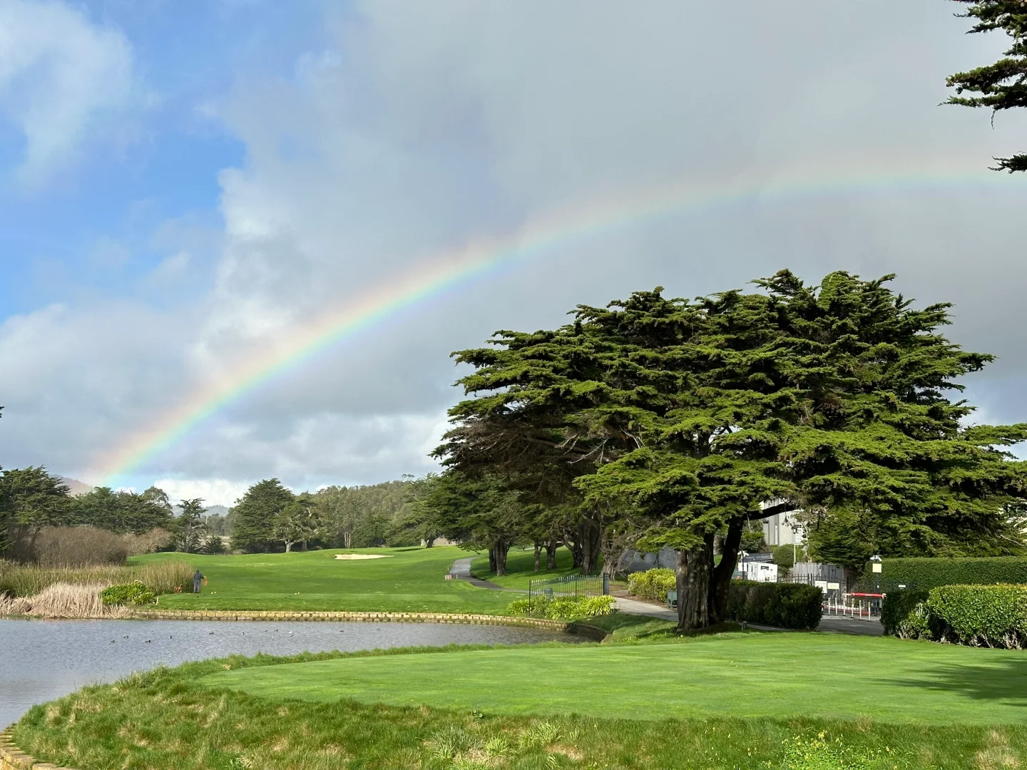 Ultimate Guide to California Highway 1