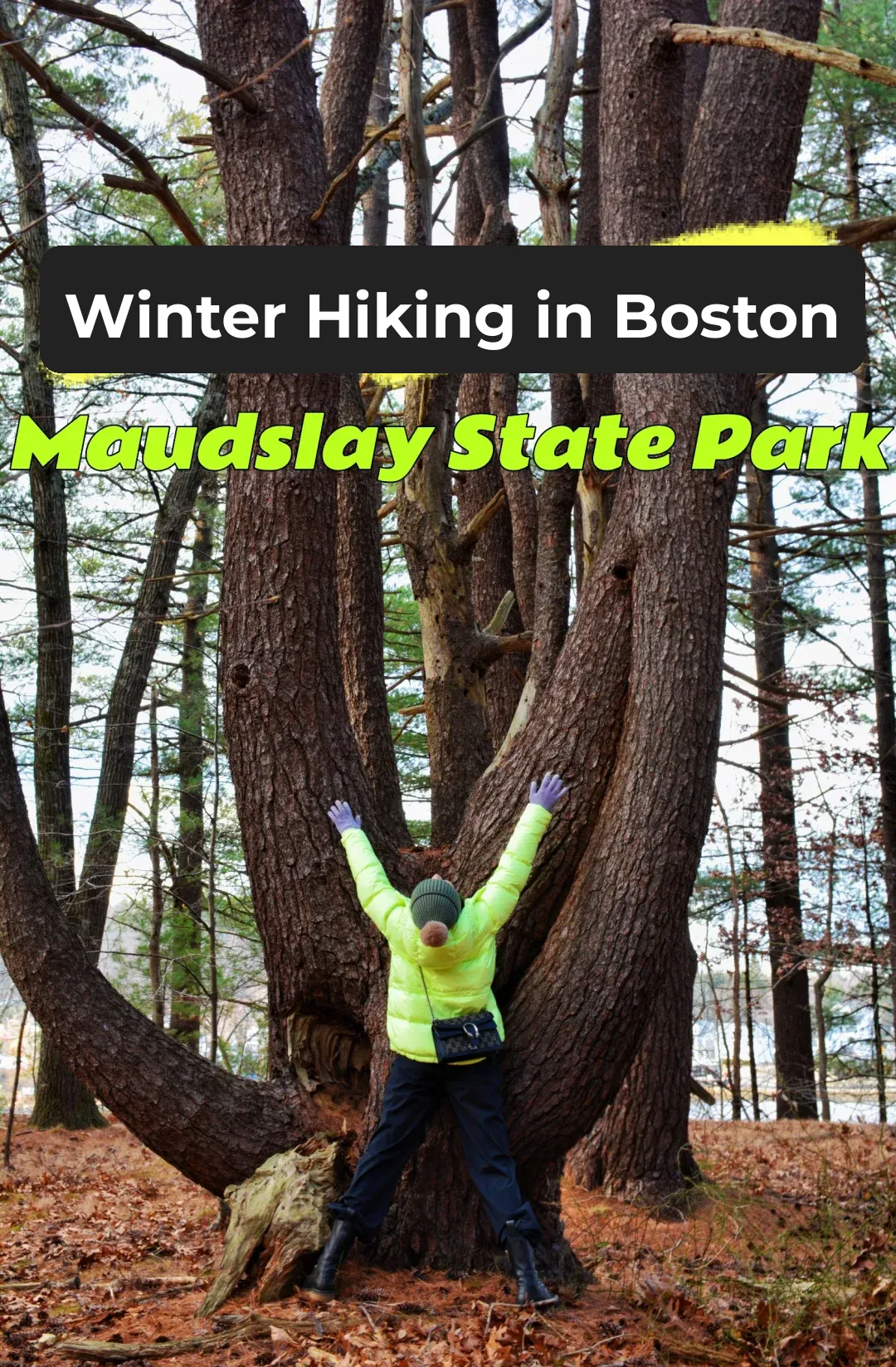 Boston Hiking | Loneliness Drove Me Crazy—I Watched Pigs and Donkeys for Half an Hour!