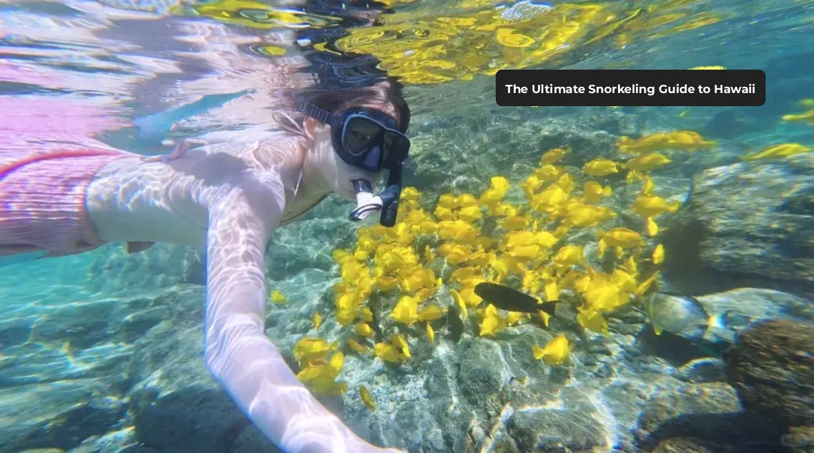 The Ultimate Guide for J-People to Snorkeling in Hawaii (Part 2)