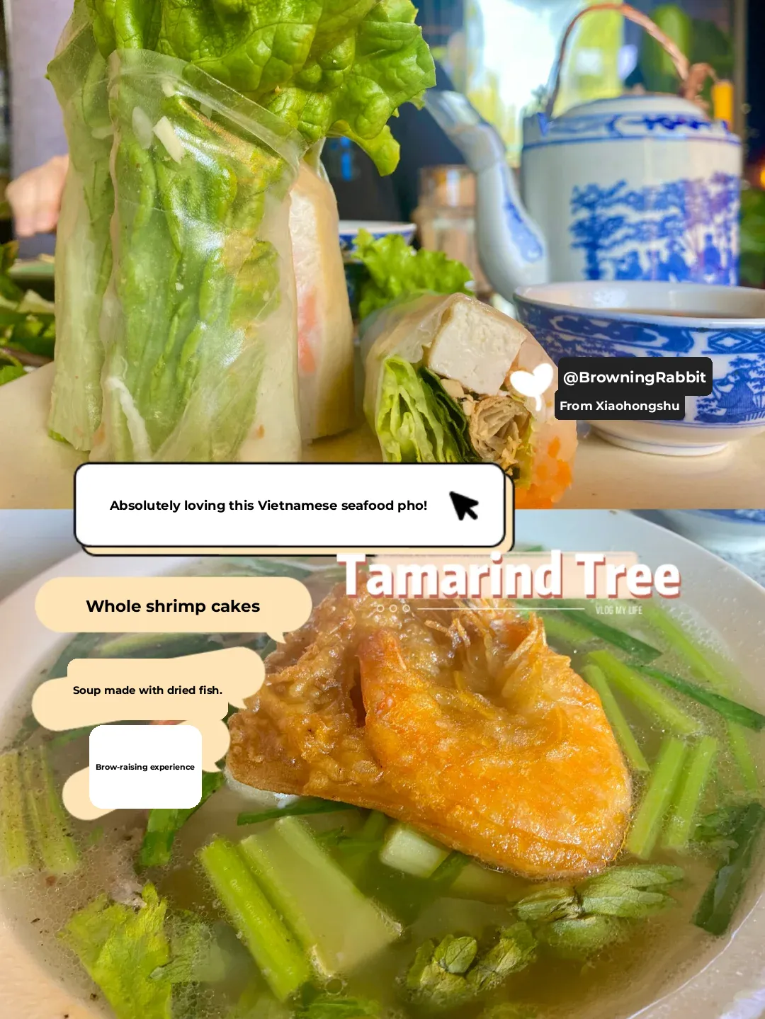 Seattle Food Adventure｜This Vietnamese Pho Spot is Absolutely Unique 🤙🏻