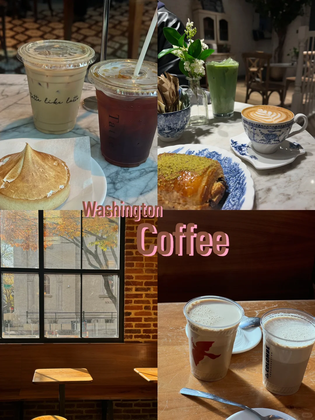 ☕️ Three Coffee Stops in Two Days in Washington 🕊️🧺