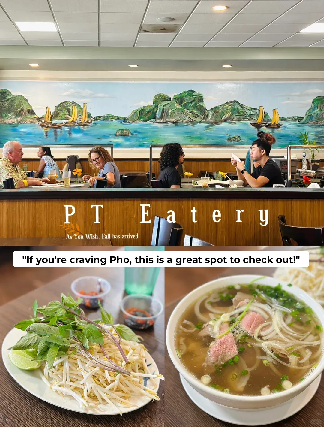 SD Pho Spot｜A Cozy Pho Shop I Crave on Autumn Tuesdays 🍲