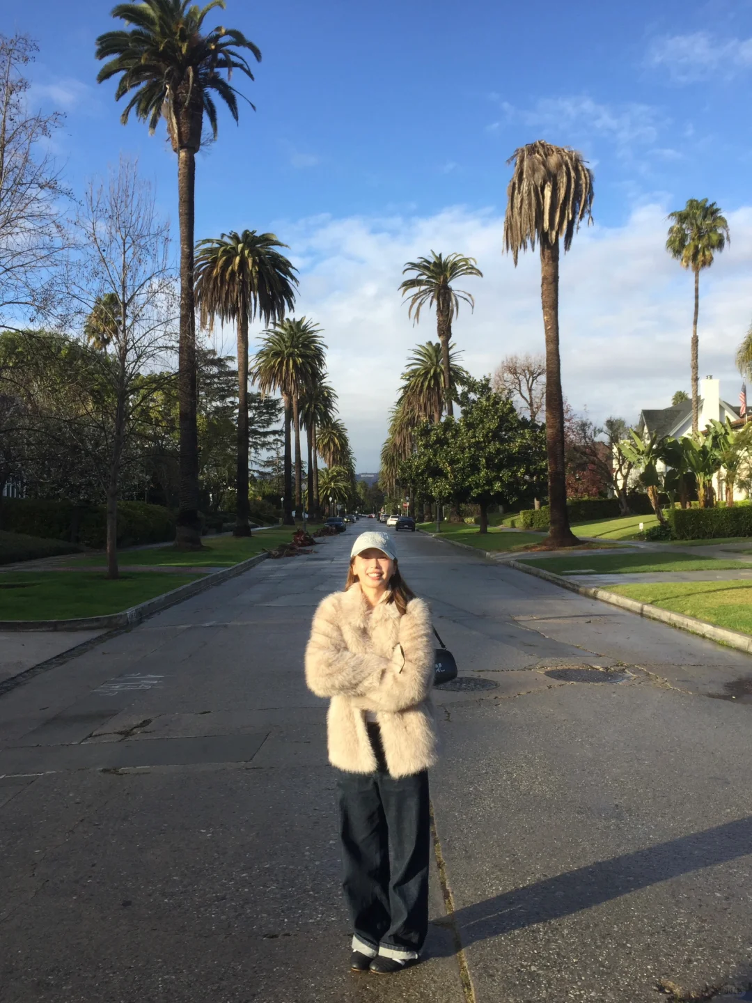 California Sunshine and Palm Trees from My Dreams 🌴