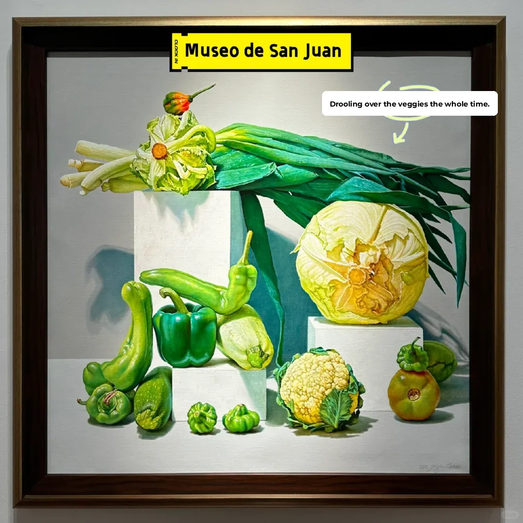 Puerto Rico | Nobody Told Me This Before Coming!