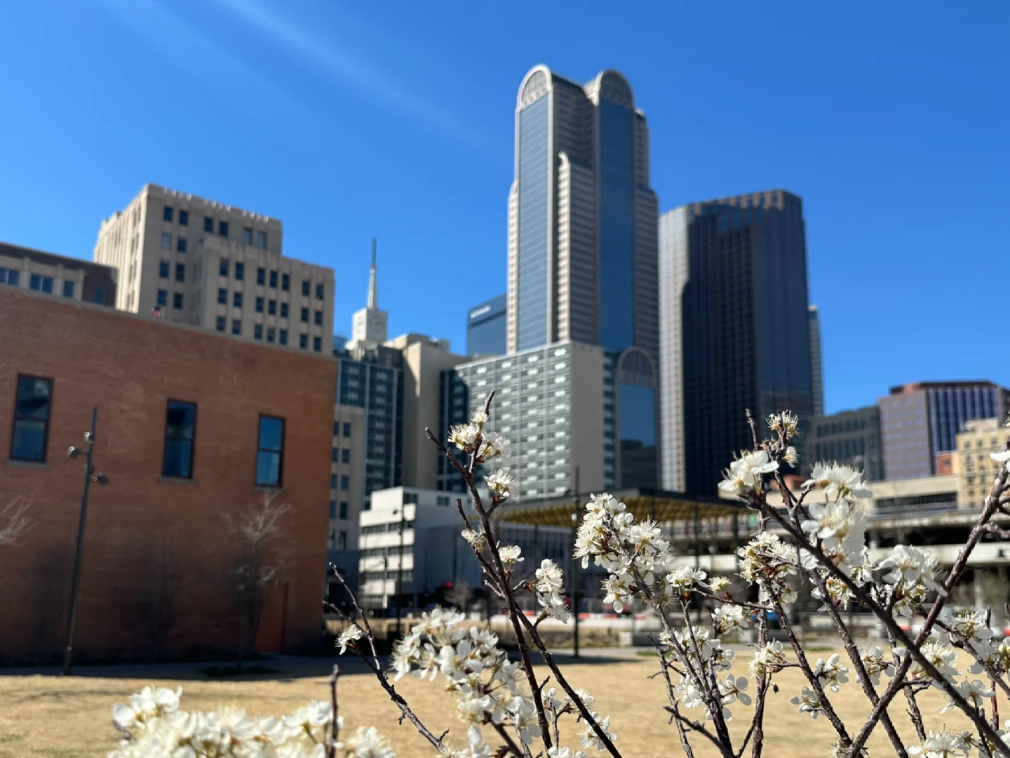 One Year in Dallas: What Spots Have I Actually Citywalked?