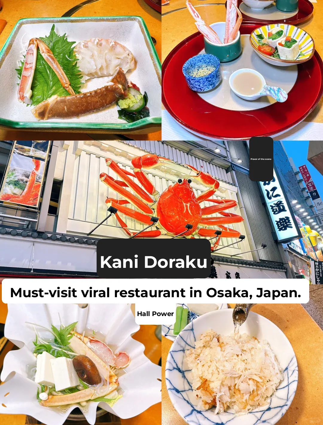 🇯🇵 Must-Try Osaka Eats: 8 Iconic Restaurants You Can't Miss