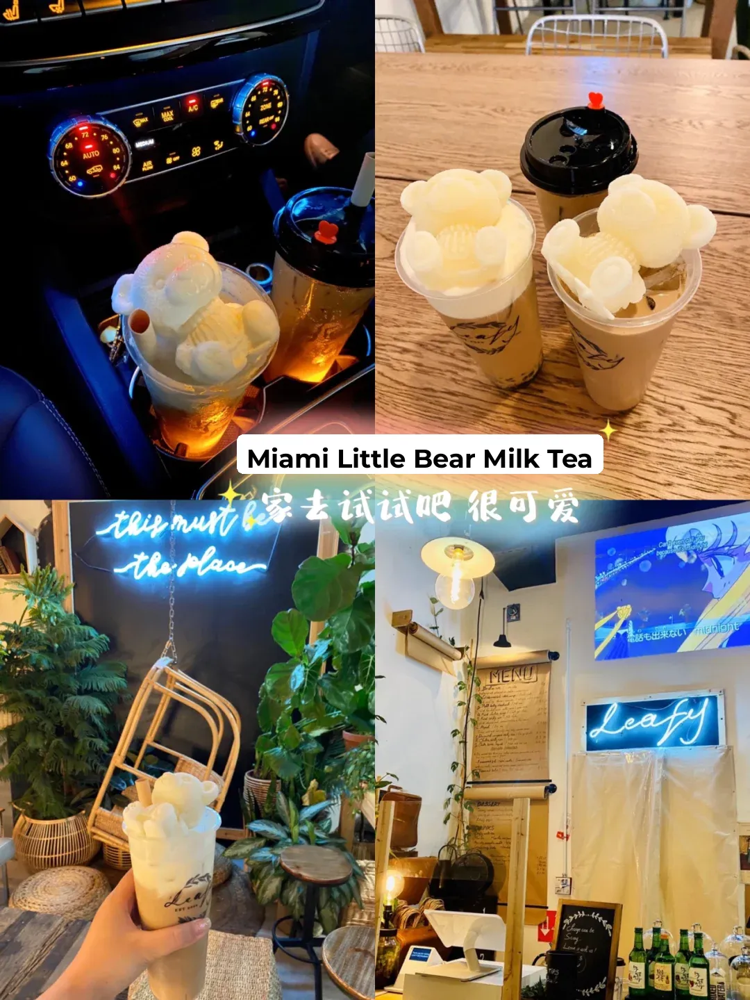 Miami's Little Bear 🐻 Milk Tea