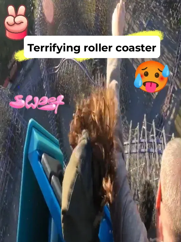 Thrilling Roller Coaster